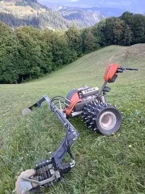 Ibex Motormäher G2P DEMO 2026